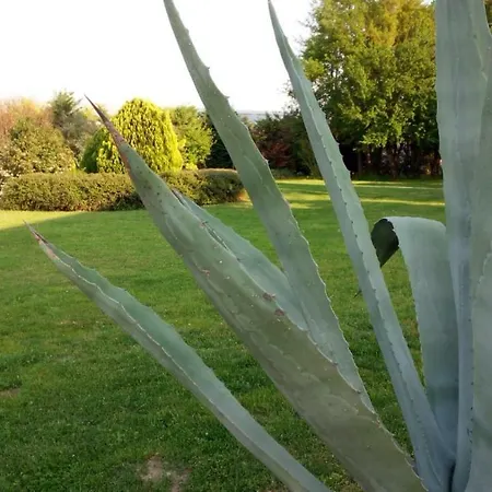 Corte Fontanelle Guidizzolo